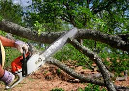 Best Lawn Mowing  in Flatwoods, KY